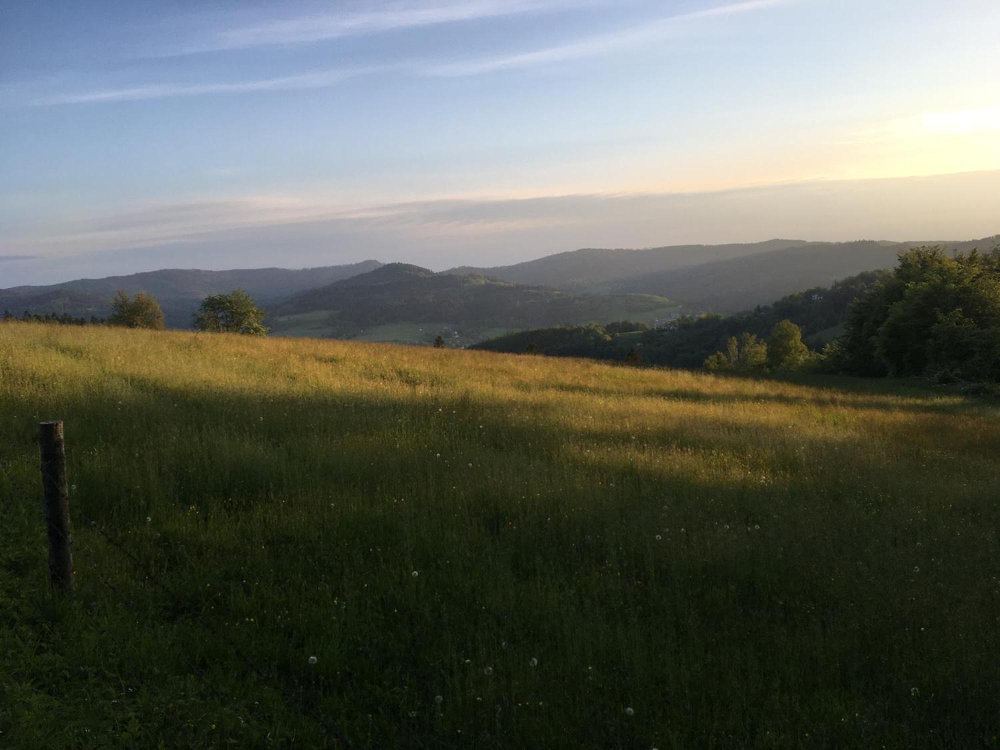 Gosciejowka Na Skraju Lasu